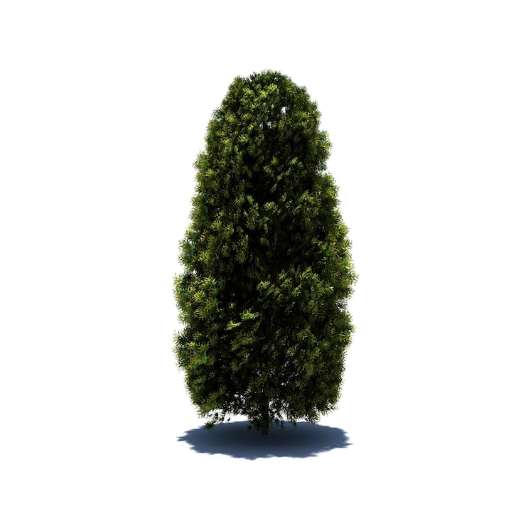 PSD árbol independiente