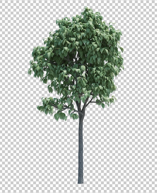 Árbol magníficamente detallado aislado