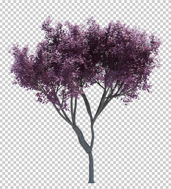 Árbol magníficamente detallado aislado