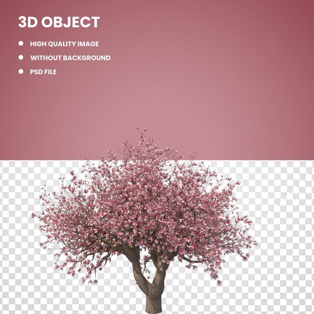 PSD Árbol de magnolia