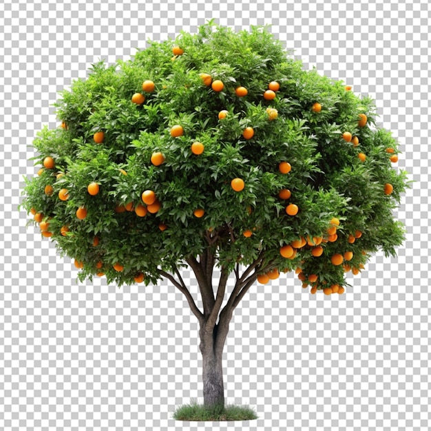 PSD Árbol naranja modelado en 3d archivo psd realista