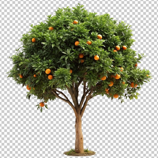 PSD Árbol naranja modelado en 3d archivo psd realista