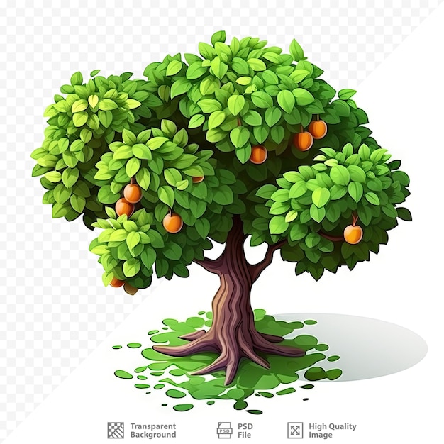 Un árbol con naranjas y las palabras 