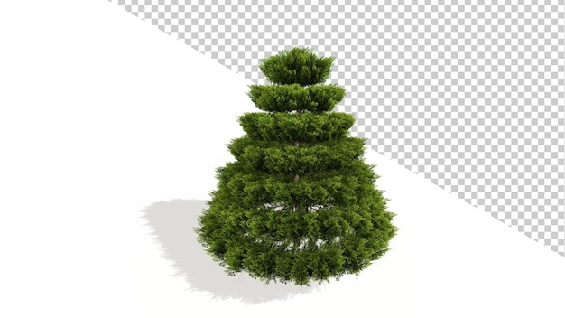 Árbol de navidad de enebro chino con árbol aislado 3d render