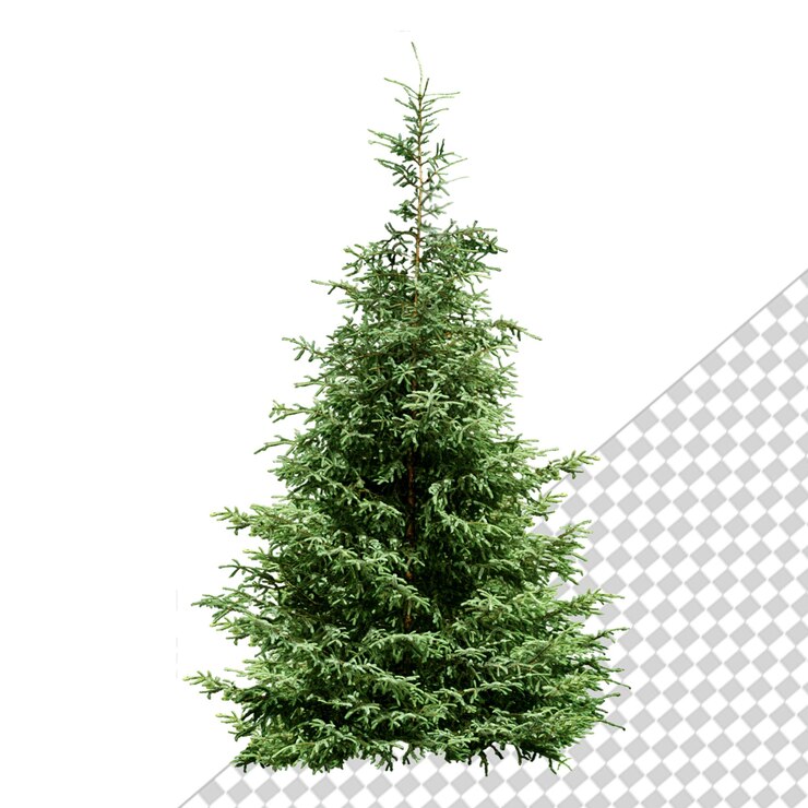 PSD árbol de navidad realista frío sobre un fondo transparente