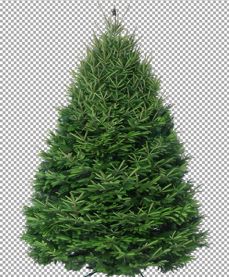 PSD árbol de navidad verde png aislado en fondo transparente