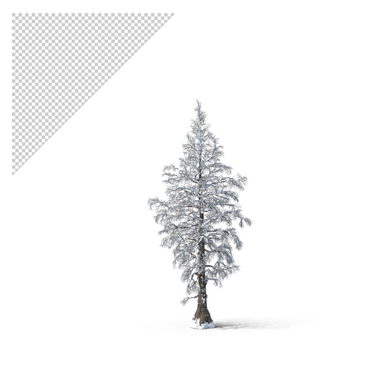 PSD árbol de nieve desnudo png