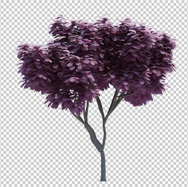 Árbol de objeto de naturaleza aislado