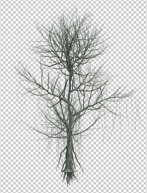 PSD Árbol de objeto de naturaleza aislado