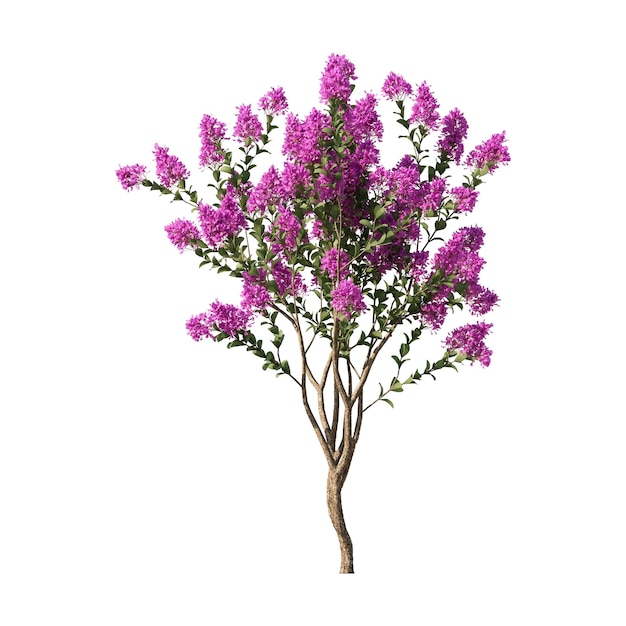 Árbol pequeño Planta de flores Árbol de colores Árbol