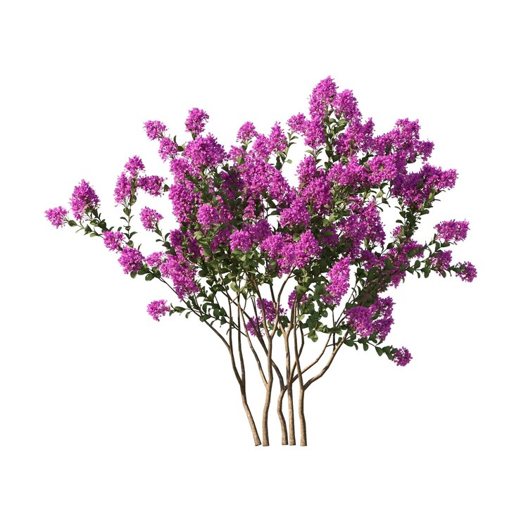 PSD árbol pequeño planta de flores árbol de colores árbol