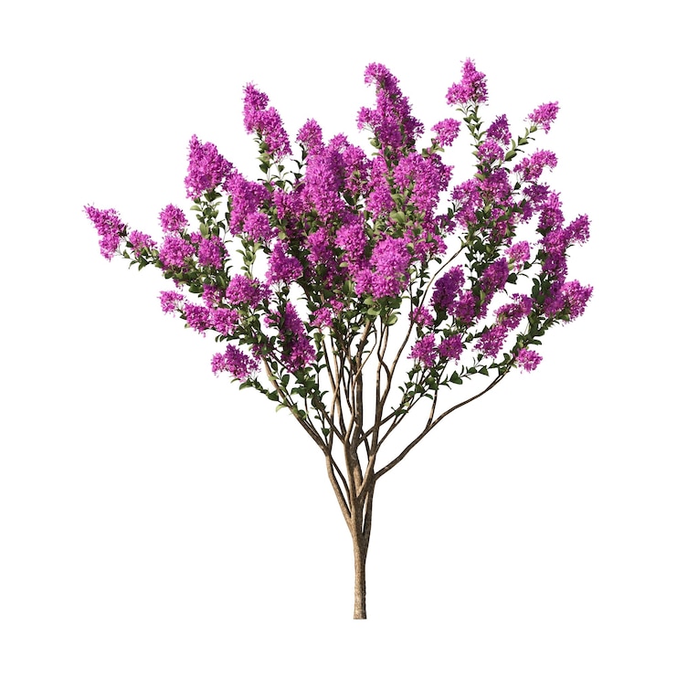 PSD árbol pequeño planta de flores árbol de colores árbol
