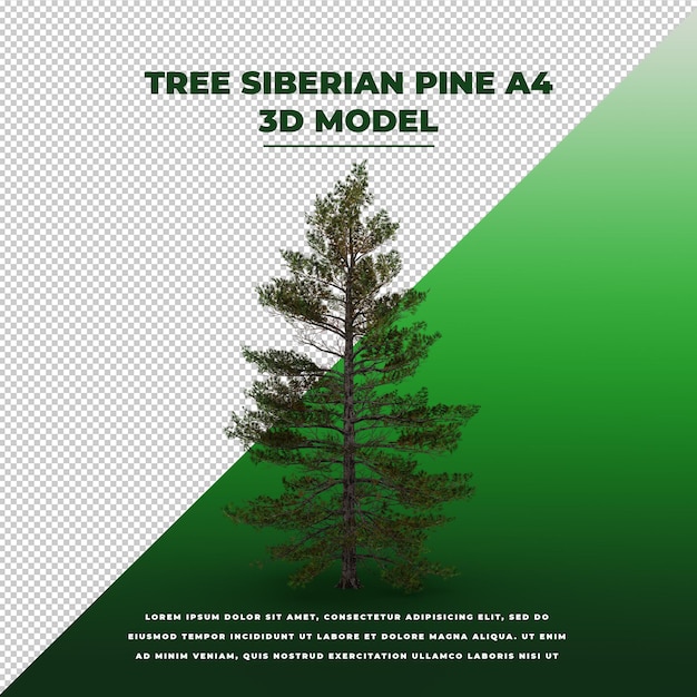 PSD Árbol pino siberiano 3d modelo aislado