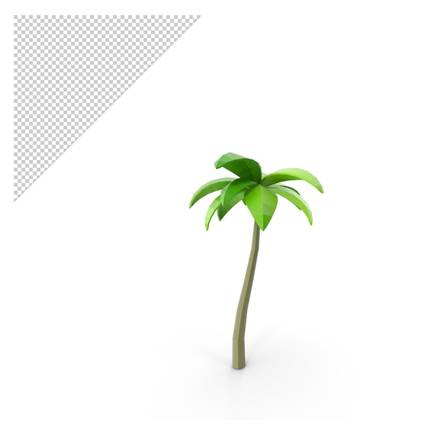 Arbol De Playa PNG