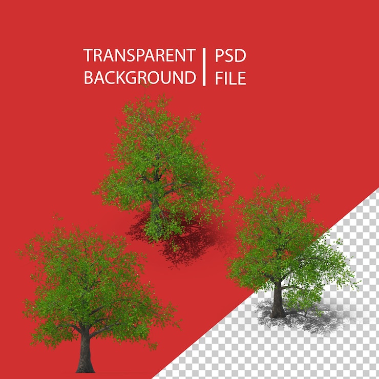 PSD árbol png
