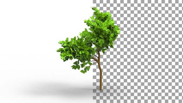 Árbol de popler con sombra 3d render