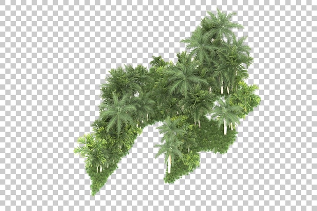 Un árbol que crece sobre un fondo transparente.