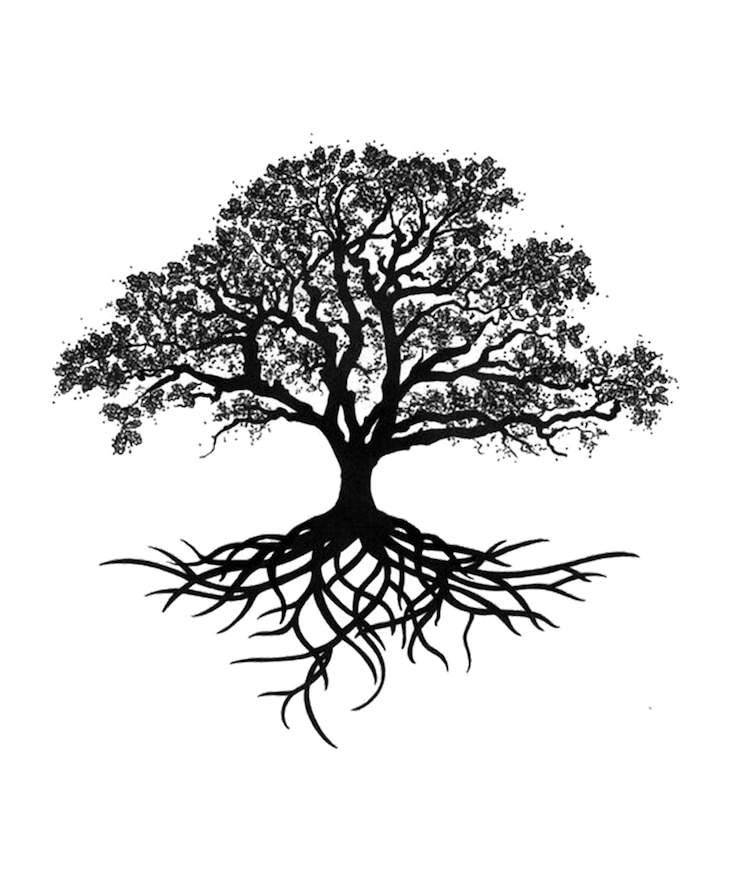 PSD un árbol con las raíces de un árbol