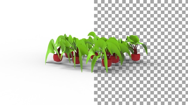 Árbol de remolacha roja con sombra 3D Render