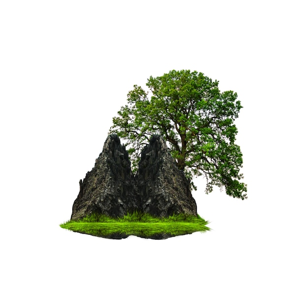 Árbol y rocas en una colina verde