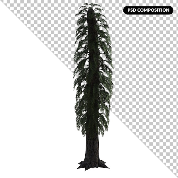 Árbol Tempskia aislado 3d