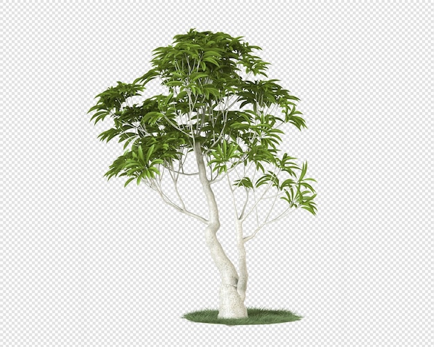 Árbol verde aislado sobre hierba en renderizado 3d