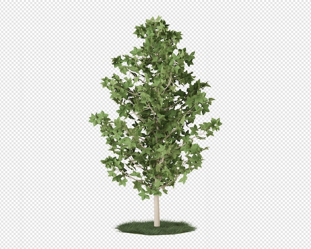 Árbol verde aislado sobre hierba en renderizado 3d