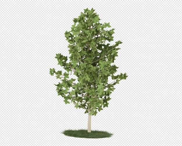 Árbol verde aislado sobre hierba en renderizado 3d