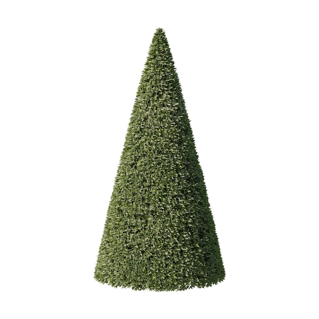 Árbol verde en forma de cono