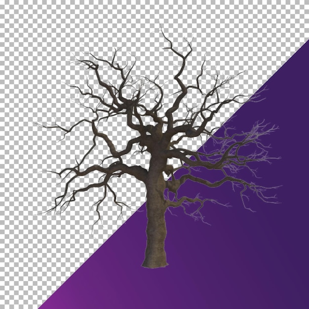 PSD Árbol viejo sin hojas sin fondo png