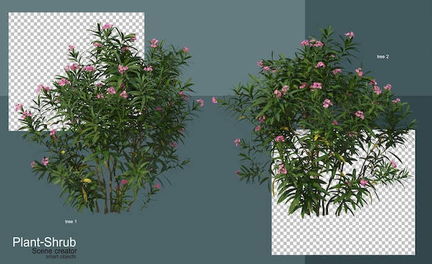 Arboles y arbustos de diversas clases
