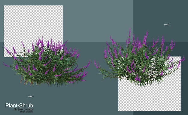 Arboles y arbustos de diversas clases