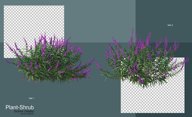 Arboles y arbustos de diversas clases