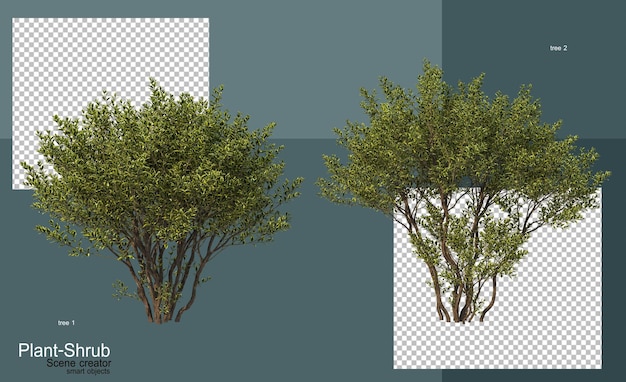 Arboles y arbustos de diversas clases
