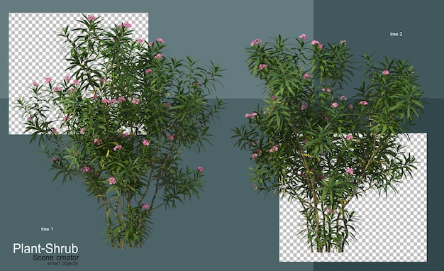 Arboles y arbustos de diversas clases