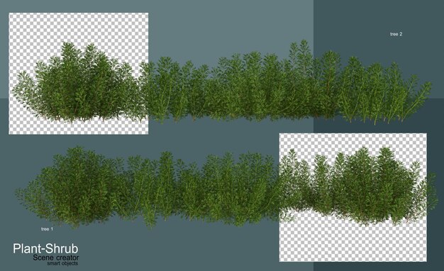 Arboles y arbustos de diversas clases