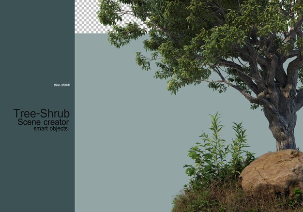 Árboles y arbustos Plantas de césped que están dispuestas de diversas formas para formar un pequeño jardín.