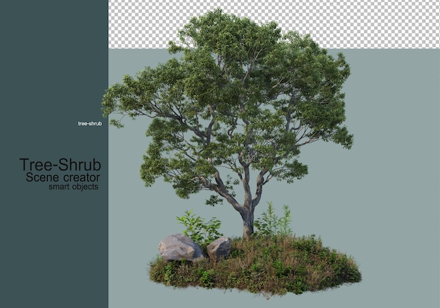 Árboles y arbustos Plantas de césped que están dispuestas de diversas formas para formar un pequeño jardín.
