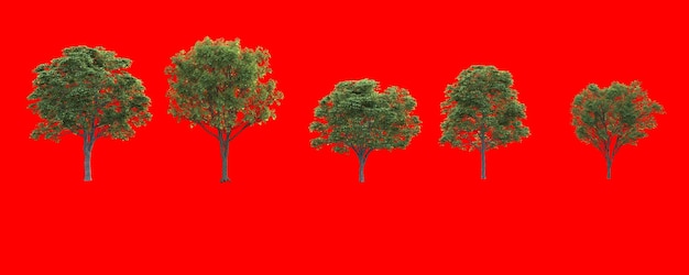 Árboles flores hierba arbustos bajos renderizados con edsmax vray 6