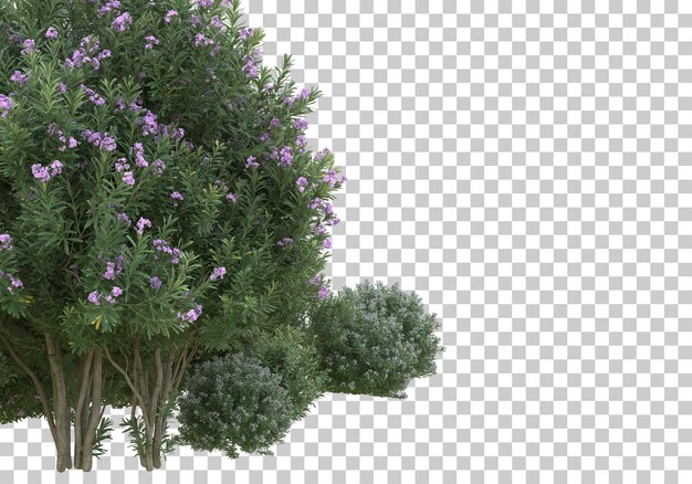 Árboles con flores sobre fondo transparente Ilustración de renderizado 3d