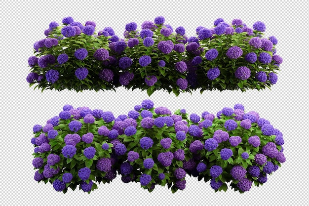 Árboles y flores tropicales en representación 3d aislada