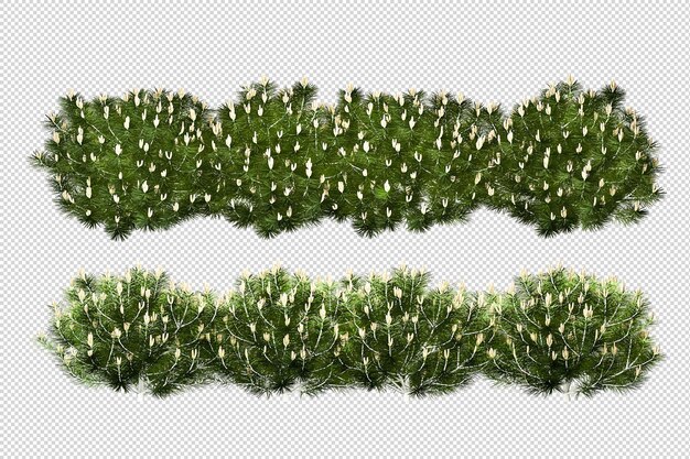 Árboles y flores tropicales en representación 3d aislada