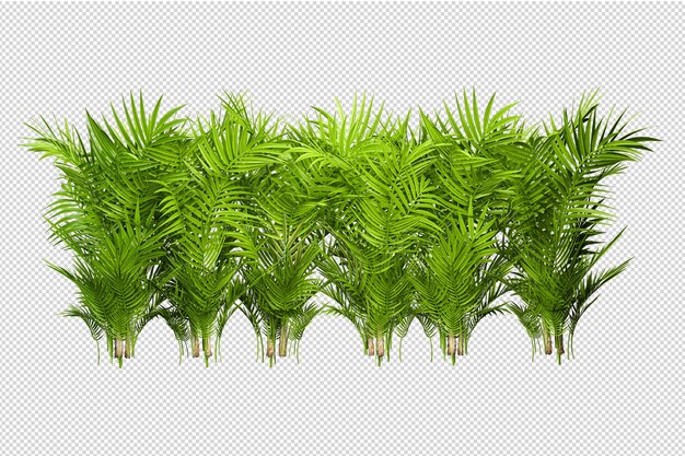 Árboles y flores tropicales en representación 3d aislada