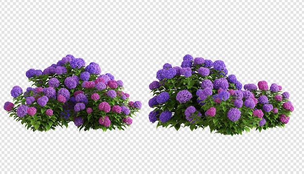Árboles y hierbas de hortensia de diversas formas