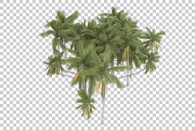 Árboles tropicales sobre fondo transparente. Representación 3d - ilustración