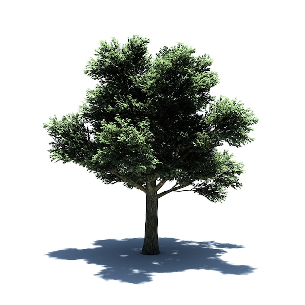 PSD arbre autonome