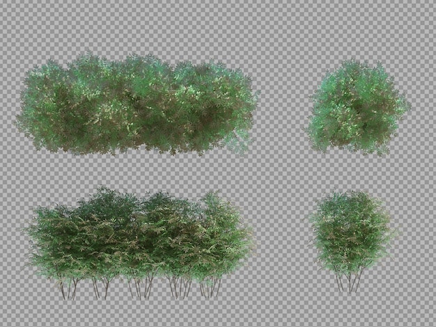 Arbre de brosse de rendu 3D isolé sur blanc