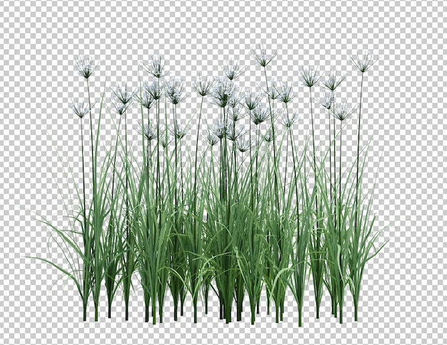 Arbre de brosse de rendu 3D isolé sur blanc