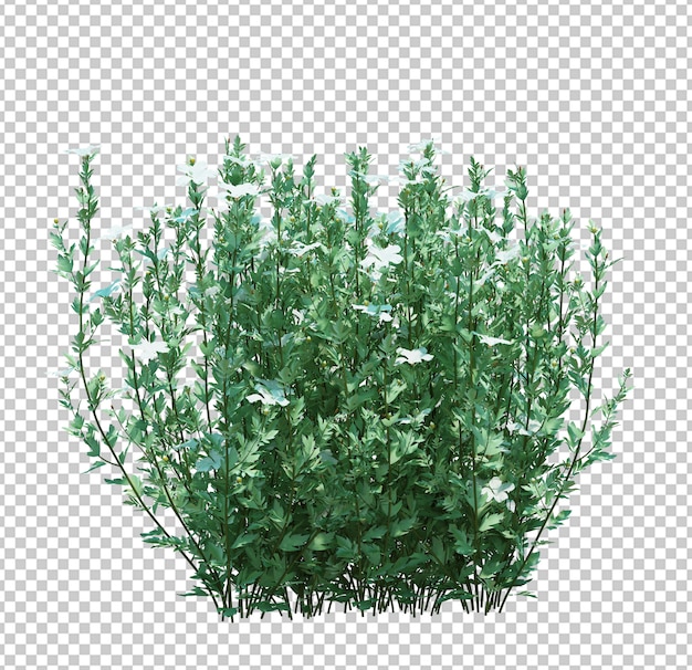 PSD arbre de brosse de rendu 3d isolé sur blanc