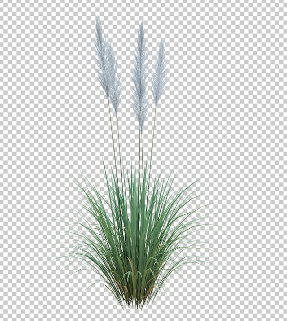 Arbre De Brosse De Rendu 3d Isolé